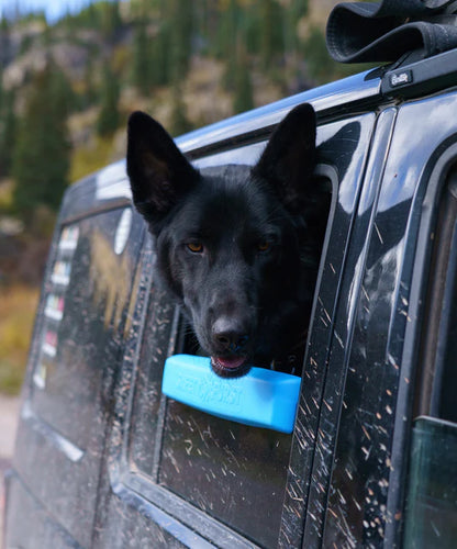 Window Chin Rest For Dogs
